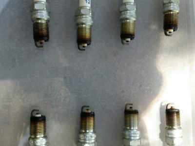 Plugs as pulled from engine.jpg