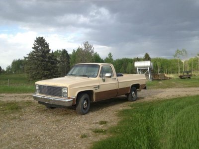 1984 Chev.jpg