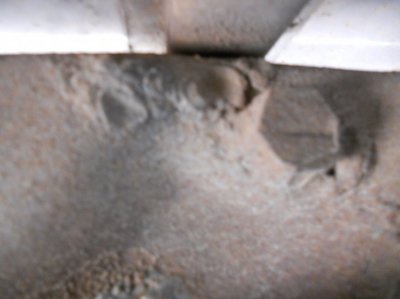 DSCN4725.jpg