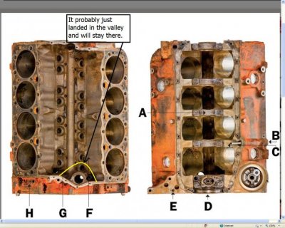 Copy of 350 top & bottom.jpg