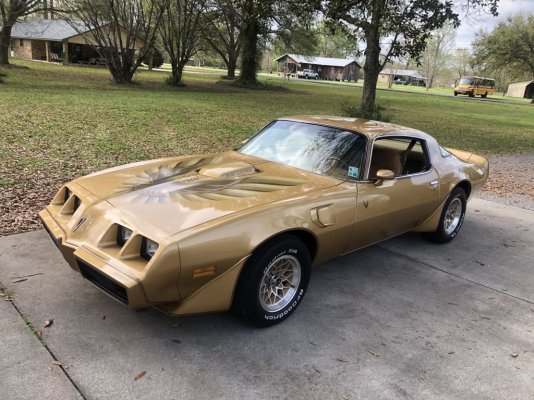 Trans Am.jpg