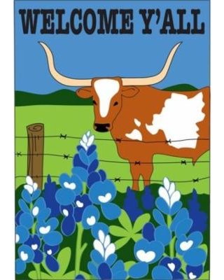 _Texas Welcome Longhorn Flag.jpg