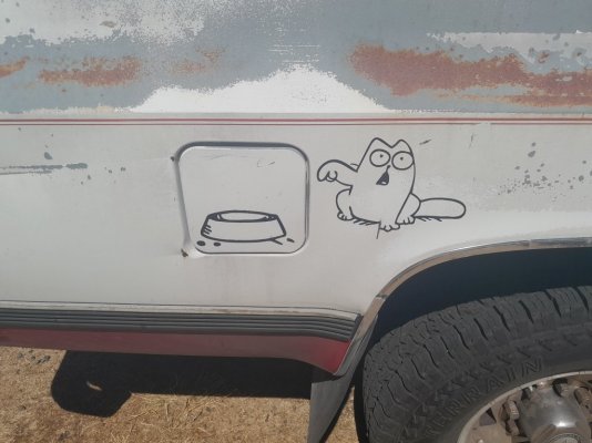 Simon's Cat sticker.jpg