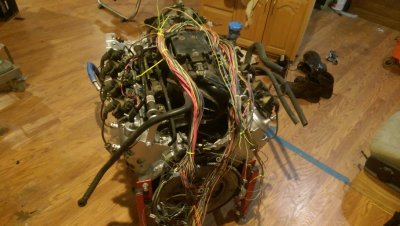 harness test install.jpg