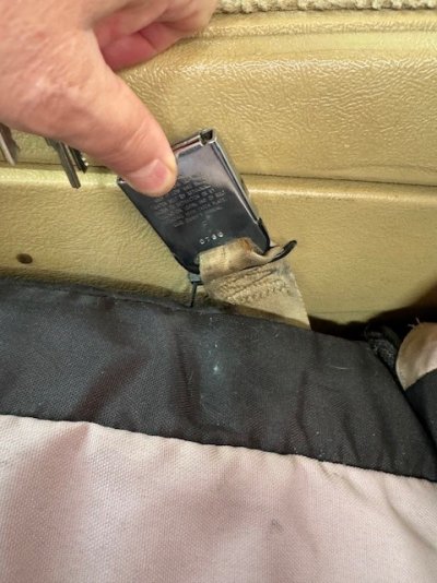 belt.jpg
