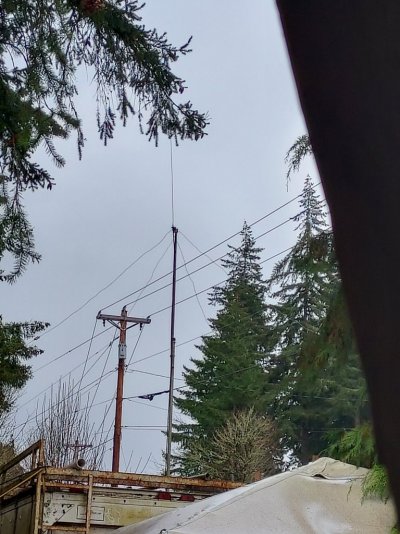 20250319_165915.jpg