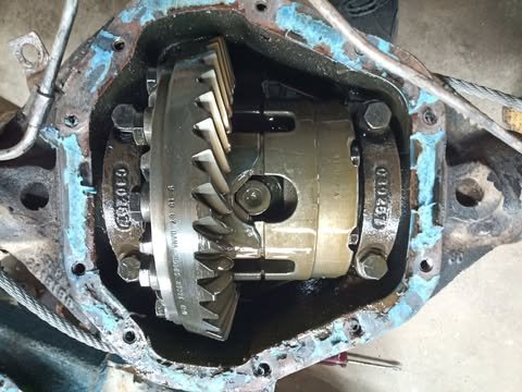486022723_1162850125071537_6630857413593678423_n.jpg