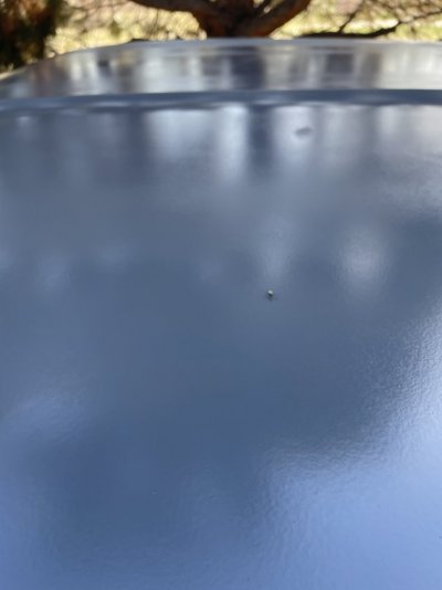 IMG_6369.jpeg