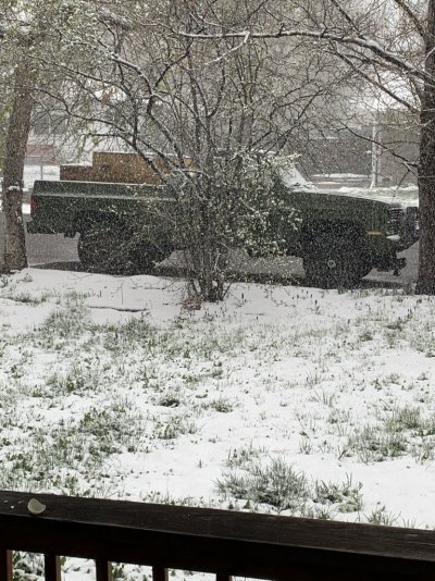 IMG_3512.jpeg