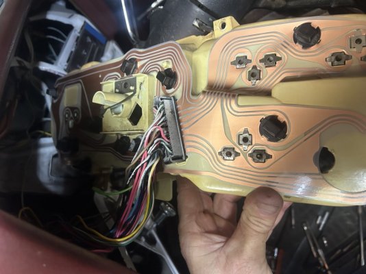 Backing Plate Rear.jpeg