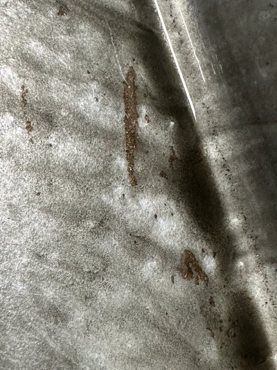 IMG_7433.jpeg