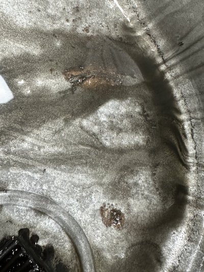 IMG_7432.jpeg