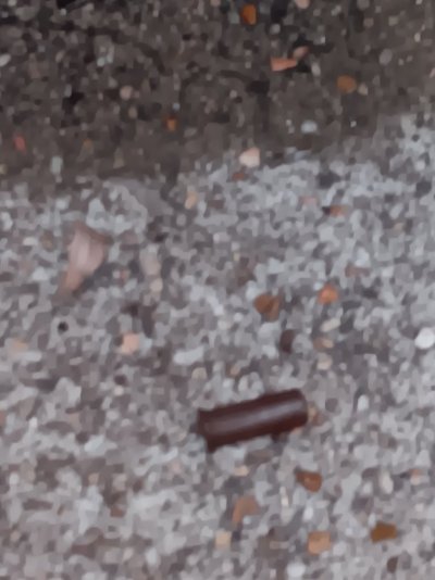 20250818_194403.jpg
