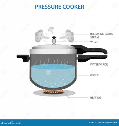 gay-lussac-law-infographic-diagram-example-pressure-cooker-continuous-heat-applied-result-temp...jpg