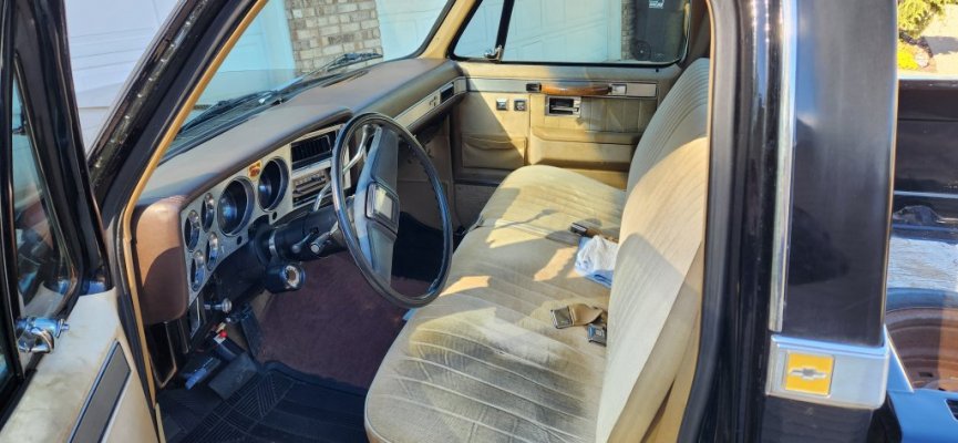 Tan interior.jpg