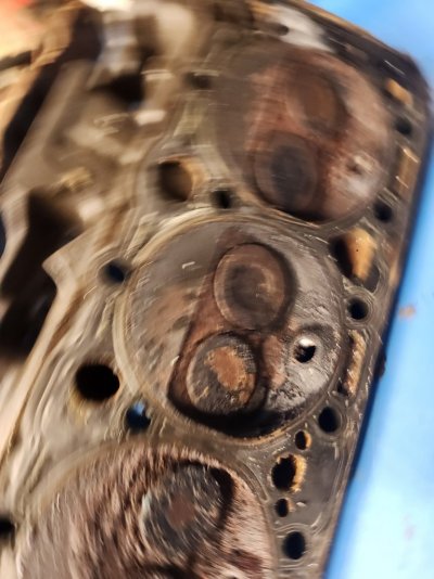 20251031_155816.jpg