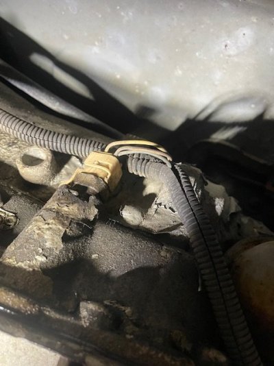 Trans Connector.jpeg