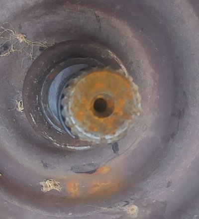 20260406_194849.jpg