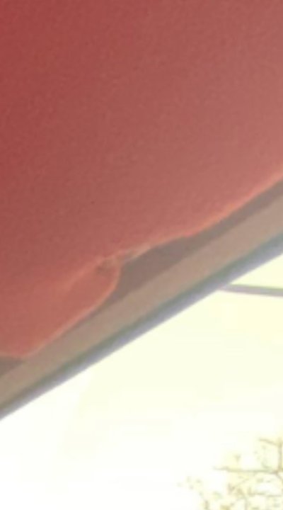 IMG_0248.jpeg