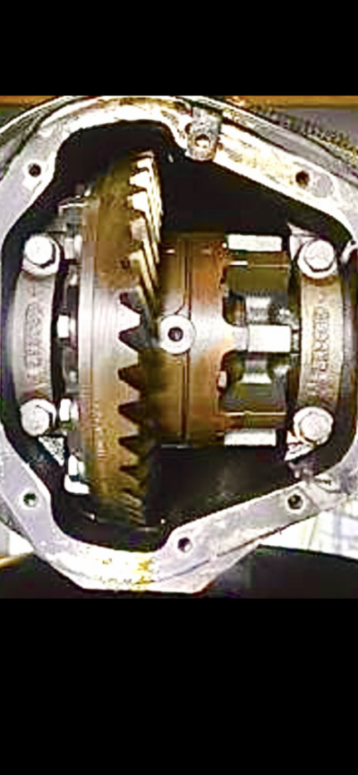 IMG_2837.png