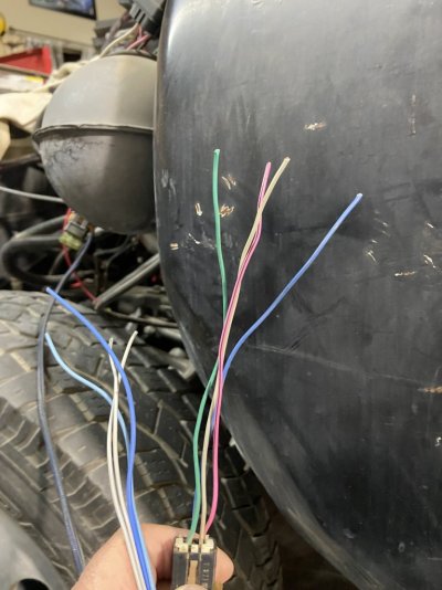 cruise wiring.jpeg