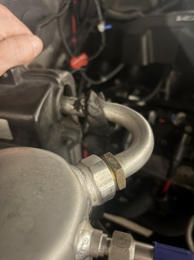 IMG_3368.jpeg