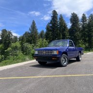 blue_ls10