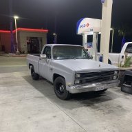 CSquibbSquarebody