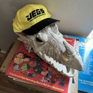 catneedsahat
